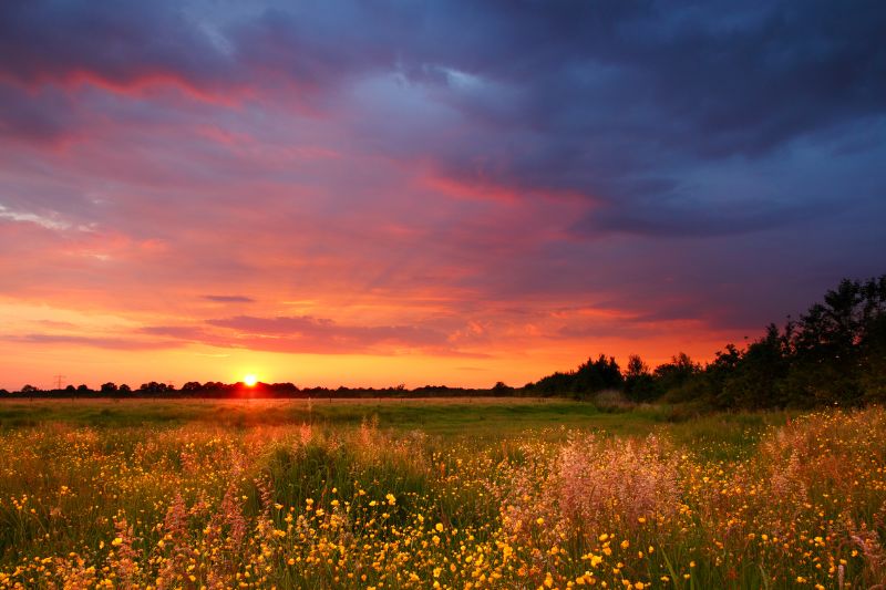 Eine weite, friedliche Wiese im Sonnenuntergang als Symbol für emotionale Entlastung und neue Perspektiven in der Traumatherapie in Kiel.